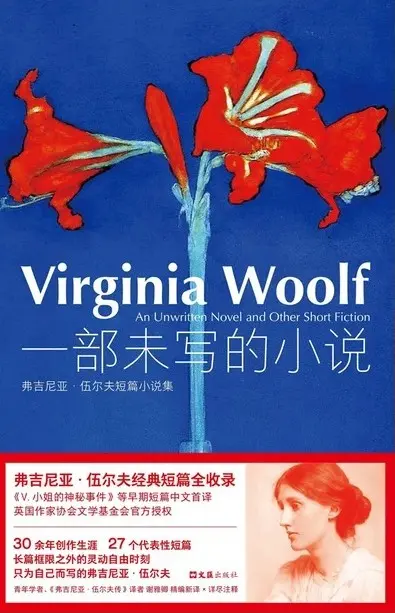 一部未写的小说