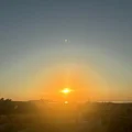我是朱迪
